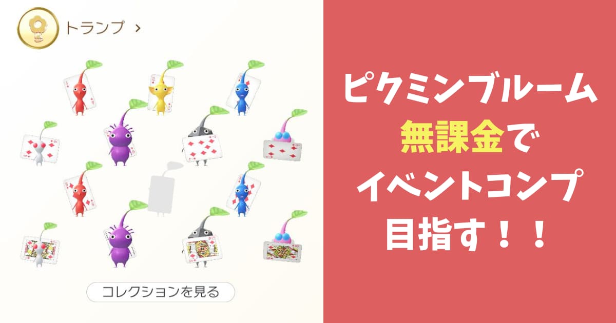 専用ページ♡ レディース